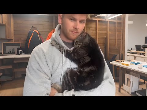 When you own the SWEETEST Affectionate Cat in the world