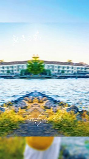 加尔达湖（Lago di Garda）是意大利面积最大的湖泊[__LINK_ICON]。 以下是关于它的介绍[__LINK_ICON]： - 地理环境：位于中阿尔卑斯山南麓，西距米兰105公里，约在威尼斯和米兰的半途之间。它南北长56公里，东西宽4-17公里，面积370平方公里，湖岸线长125公里，最深346米，湖区海拔65米。有萨尔卡河等从北端注入，南端的明乔河是湖水出口。该湖横跨特伦