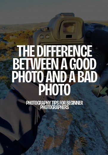 Snapshot vs. Professional Photo: Beginner Photography Tips