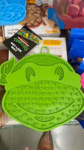 $1.50 Cute Pet Finds at Dollar Tree 🐶 TMNT, Garfield & More!