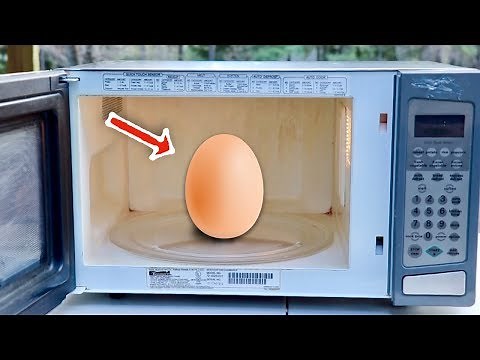 Egg Explodes in a Microwave!