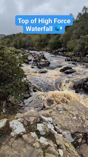 🌊 HIGH FORCE WATERFALL – VIEW FROM THE TOP 🌊 This is what High Force Waterfall looks like from the top. The River Tees funnels down towards the Whin Sill, a hard layer of igneous rock formed around 300 million years ago, before plunging around 70 feet into the gorge below. In England, High Force has the largest volume of water falling over an unbroken drop when in full spate. After heavy rain the river will also flow over a second channel on the opposite side, creating two falls. Very occasion