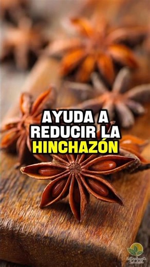 Estos son los beneficios del anís estrellado #remedios #saludable #natural