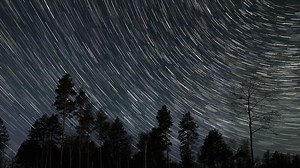Time lapse of Star trails in night sky, Long-exposure photograph of star trails spinning around the North Star, with silhouettes of trees in the foreground