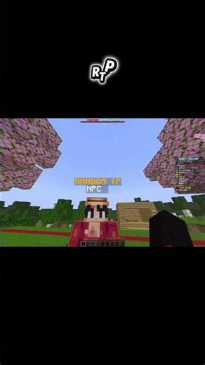 🔥NEW Best Public Flame SMP 🌍 | 24/7 Online (Java 💻 + PE 📱, IP + Port)