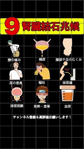 腎臓結石の兆候9つ⚠️尿が濁る・腰が痛い人は要注意！ #腎臓結石 #尿路結石 #血尿 #腰痛 #排尿異常 #腎臓の健康 #水分補給 #塩分控えめ #健康習慣 #結石予防