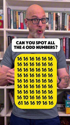 Four Hidden Objects Search Challenge