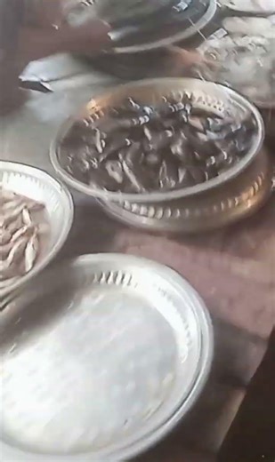 Amazing Fish Market Display | Fresh Fish Collection #fin_cuts_tv