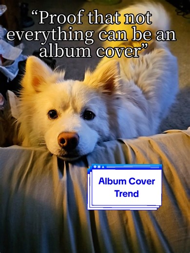 The Cool Crow: A Unique Look at Nature's Marvel