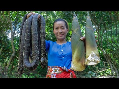 Awesome Cooking Snake Soup with Bamboo Shoot Recipe​ | Eating Snake Soup So Delicious