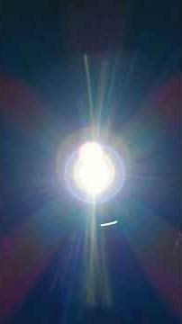 collab with homemade fans out of random items