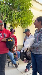 11M views · 57K reactions | Así son las bodas tradicionales en OAXACA Un día antes de la boda se hace la llevada del cariño a la casa de la novia Like para parte 2 | Edwin Rosales | Facebook