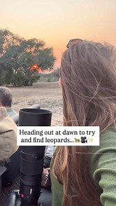 The queen 🐆👑😍 As we drove through the African bush at first light we came across this female leopard resting high up in a tree! An incredible wildlife sighting 🤩🐾❤️ Follow for more 🐾🫶 #wildlifephotography #wildlife #photography #wildanimals #leopard #safari #africa #wildlifesafari | Hannah Stitfall