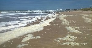 Fleuves français : est-il possible de retrouver un bon état écologique ?