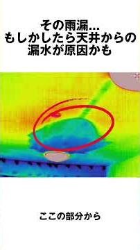 That roof leak might be caused by water leaking from the ceiling. #renovation #roofleak #shorts
