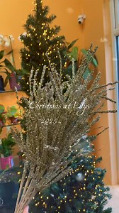 1.9K views · 30 reactions | Christmas shop window display 2025 ✨ Obsessed & excited  | Lily’s Florist Annacloy | Facebook