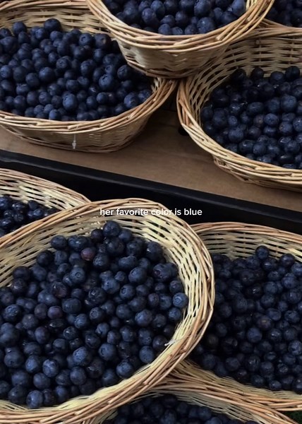 Exploring the Beauty of Navy Blue in Colors