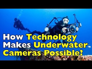 How Cameras Are Built to Work Underwater