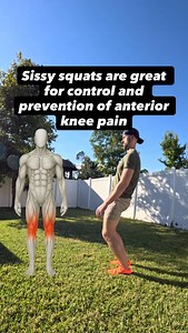 👋 I’m Matt physical therapist for the past 14 years Sissy squats are one of my favorites for mobility and control of the hip flexors and quads Great for prevention and healing of knee pain particularly patella tendon pain Try these regressions out if you can’t do a full one with good control Follow @pistolsquatdude to go from knee pain to pistol squat #physicaltherapy #squat #kneepain #gym #wellness | Pistolsquatdude