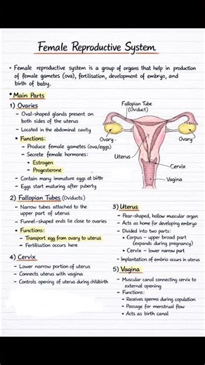 Reproduction In Humans #cbseclass10 #radiobiochem #solanscholars #notesMusic:Musician:VN VideoEditor