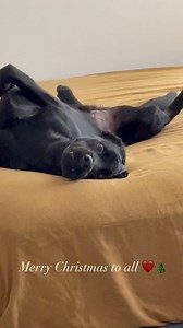 2.2K views · 82 reactions | Merry Christmas To All❤️ | Erica Arndts | Facebook