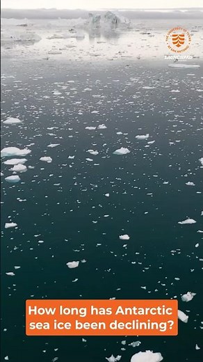 Arctic & Antarctic Sea Ice Decline: The Climate Mystery