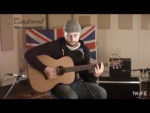 Tanglewood Demonstration - TWJF E
