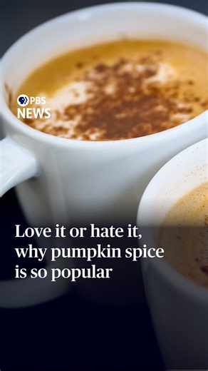 4.6K views · 38 reactions | While this year's election and recent headlines may have led to some difficult conversations at the Thanksgiving table, economics correspondent Paul Solman looks at the history of a different controversy that is ubiquitous during the holidays: pumpkin spice. | PBS NewsHour | Facebook