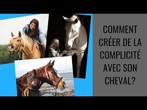 [BIEN-ETRE CHEVAL] LES 6 POINTS IMPORTANTS POUR QUE VOTRE CHEVAL VOUS AIME