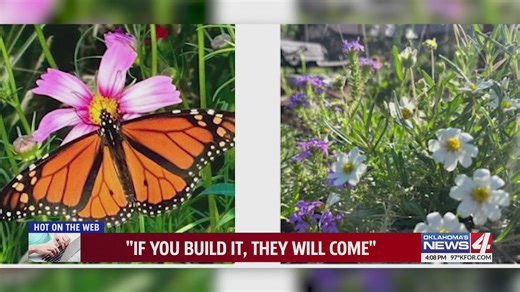 "If you build it, they will come"