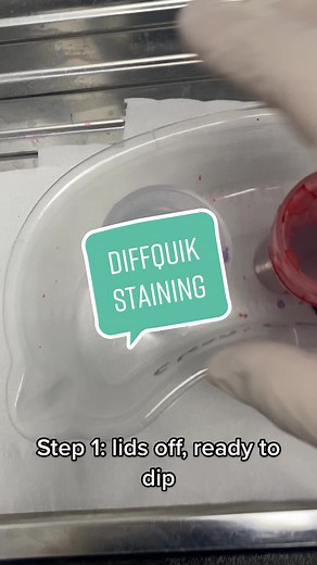 the_veterinary_nerd on TikTok