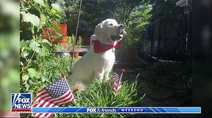 DOG DAYS OF SUMMER: Fox & Friends kicks off the weekend with a patriotic celebration of National Dog Day. | Fox News