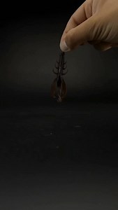 6.5K views · 120 reactions | Das (variable) Carolina Rig  Statt der Stopper könnt ihr natürlich auch das Vorfach an einen Wirbel anknoten und davor auf die Hauptschnur die Glasperle und das Bullet Weight anbringen  Dann habt ihr das klassische Carolina Rig, könnt jedoch die Länge nicht so flexibel variieren. Welche Variante nutzt ihr? #angeln #barsch #zander #carolinarig | Fishing-King | Facebook