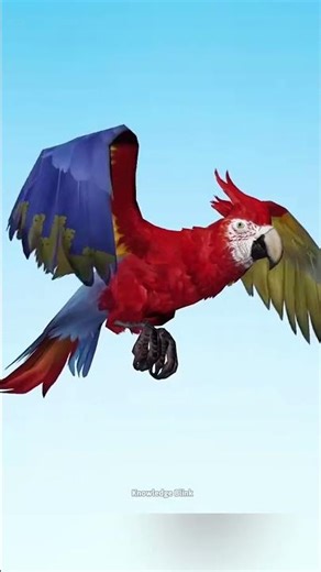 Can Humans Fly Like Birds?