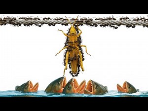 Ant Colony Simulation: Can They Pass 4 Extreme Challenges? 😱 ANTTREK