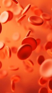 Hemoglobin and chlorophyll share a similar core structure, both involving a porphyrin ring with a metal ion at its center. The key difference is the metal atom: iron (Fe) in hemoglobin and magnesium (Mg) in chlorophyll. They also share some precursor molecules in their biosynthesis. | Science Acumen