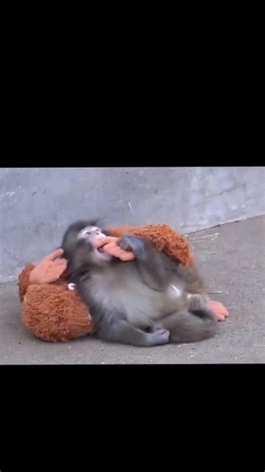 Anthony (@kalebgarza1)’s videos with original sound - Anthony