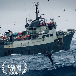 A THRILLER IN HEAVY SEAS Environmental documentary: Sea Shepherd Global chase poachers across three oceans! Find out more: bit.ly/OCEAN_6_CHASING_THUNDER_p Catch CHASING THE THUNDER and five more films on the International Ocean Film Tour - starting in March! | International Ocean Film Tour