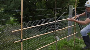 3.8K views · 80 reactions | This week's episode has Vasili’s back in...