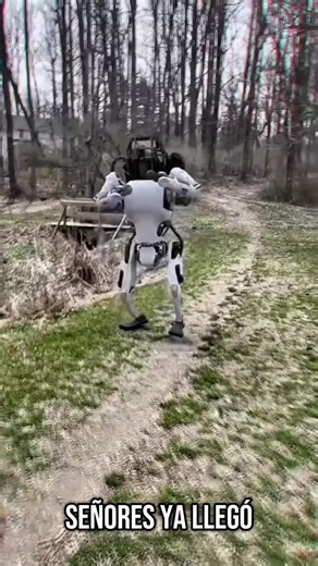 Elon Musk's Vision for Tesla's Cybertruck and Robotics