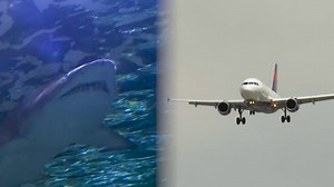 How a 'shark skin' coating helps aircrafts reduce emissions