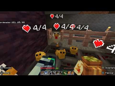 RECUERDOS DEL REALM GRANJA DE POLLITOS