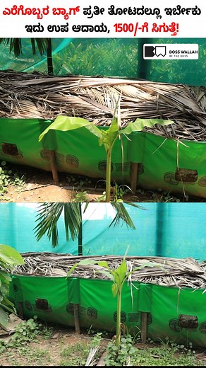 Why Every Farmer Needs an Earthworm Compost Bag in 2025! #shorts #vermicompost #earthwormcompost #vermicompostfarmingkannada | Boss Wallah Farming Kannada