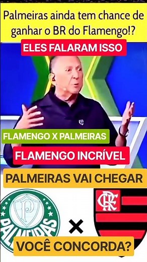 FLAMENGO VS. PALMEIRAS: FLAMENGO IS INCREDIBLE, CAN PALMEIRAS CATCH UP? LOOK AT WHAT THEY SAID, W...