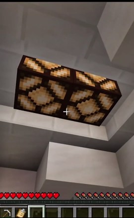 FERİTED UÇAĞI TÜRBÜLANSA YAKALANDI #ferited #minecraft #keşfet