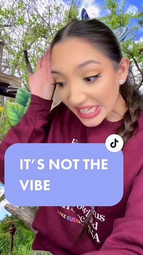 Dealing with Bugs on Disney Rides