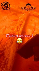 Last May 2025, I drove up to Hyde, MI to search for a cellphone in the Ford River. When I arrived, a State Trooper told me that a man had just lost his wallet in the river also. Turned out, the man who lost his wallet had been following me on YouTube for several years! 😃👍 I searched for a long time to try to help him out… | Ed the Diver