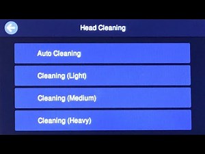 How to Perform an Auto Cleaning on the SureColor F2270 I 2 Easy Steps