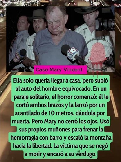 Caso Mary Vincent. #CasosReales #HistoriasReales #CrimenReal #Justicia #CasosSinResolver