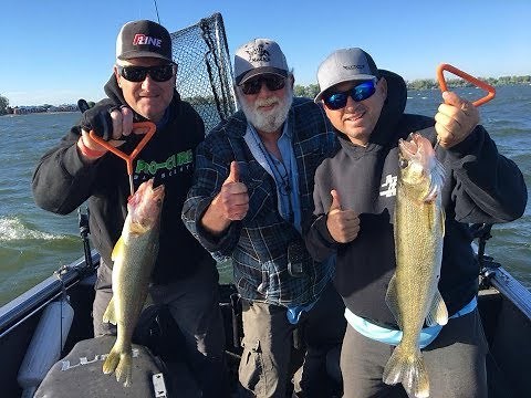 Columbia River & Potholes Reservoir Walleye